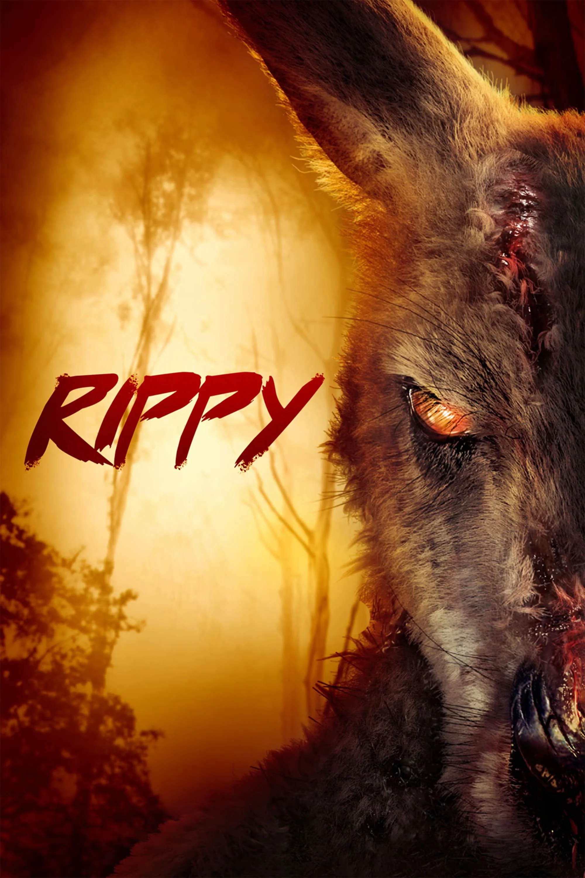Rippy - Rippy (2024) Rippy - Rippy (2024)