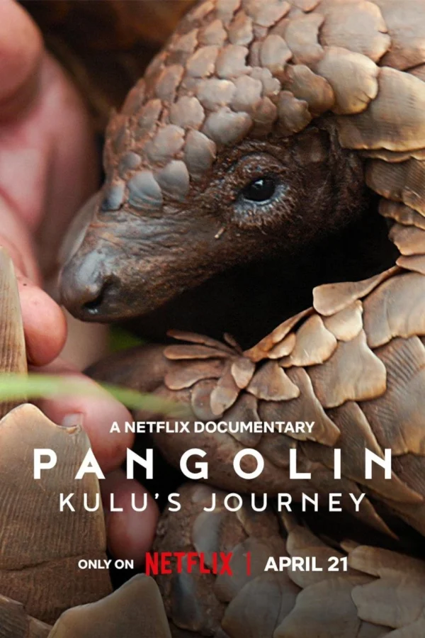 Loài Tê Tê: Hành Trình Của Kulu - Pangolin: Kulu's Journey (2025) Loài Tê Tê: Hành Trình Của Kulu - Pangolin: Kulu's Journey (2025)