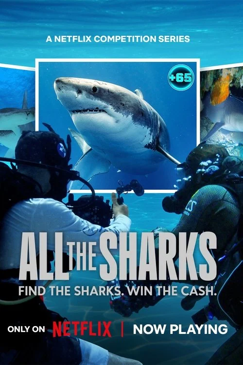 Đi Tìm Cá Mập - All The Sharks (2025)